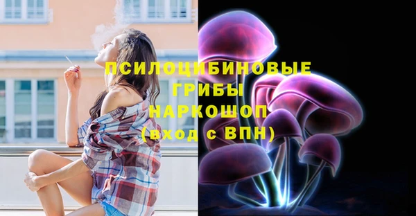 индика Балахна