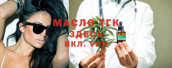 индика Балахна