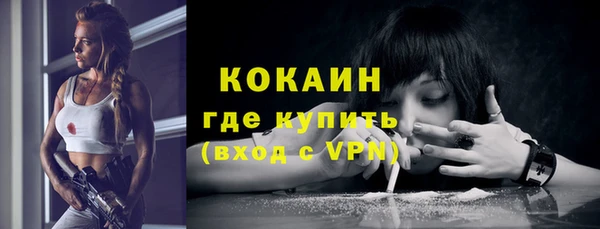 индика Балахна