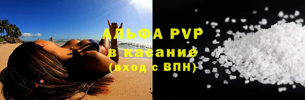индика Балахна