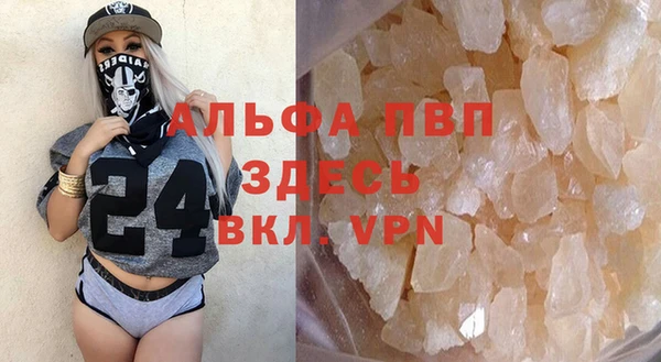 индика Балахна