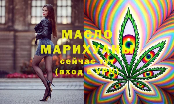 индика Балахна