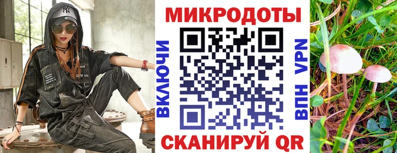 Псилоцибиновые грибы мицелий  Вышний Волочёк 